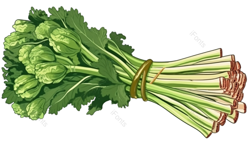 蔬菜图片,绿色蔬菜元素,绿色食品PNG,健康免抠素材